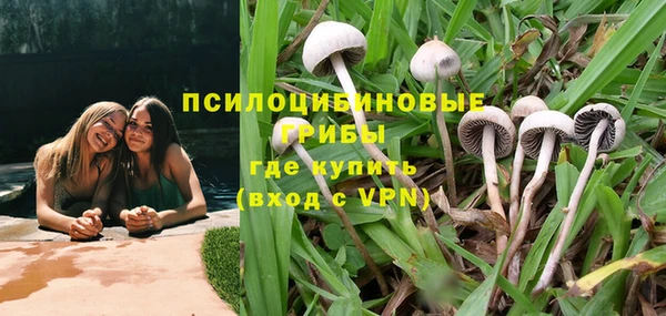 крисы Иннополис