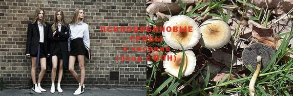 герыч Алексеевка
