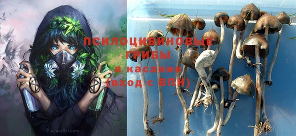 мяу мяу мука Алексин