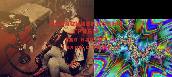 метадон Инта
