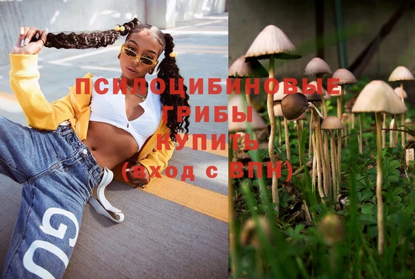 мяу мяу мука Алексин