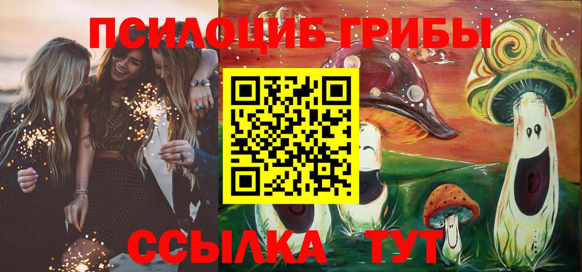 Псилоцибиновые грибы Psilocybe  Вход с VPN  Дубна 