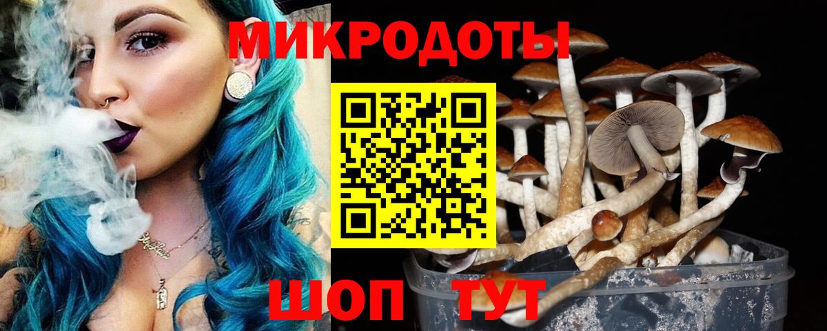 Галлюциногенные грибы Magic Shrooms Дубна
